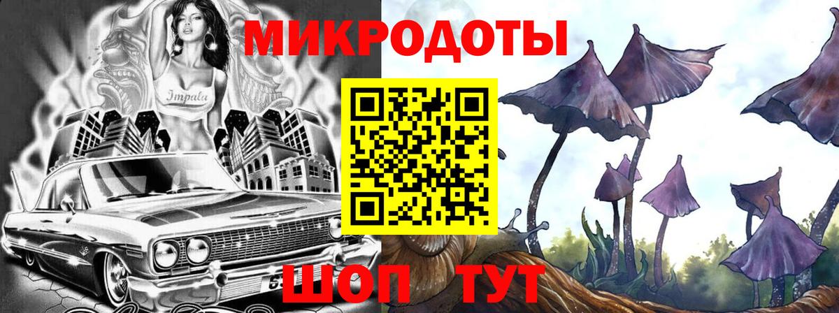Боровичи  Галлюциногенные грибы прущие грибы  Вход с VPN  Галлюциногенные грибы мухоморы 