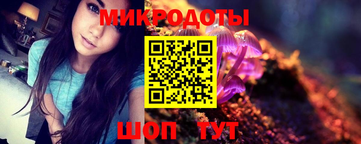 Псилоцибиновые грибы Psilocybe Боровичи